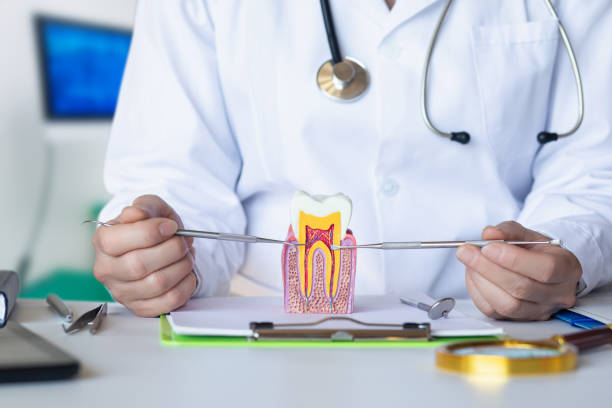Best Dental Abscess Treatment in Mount Hope, WV